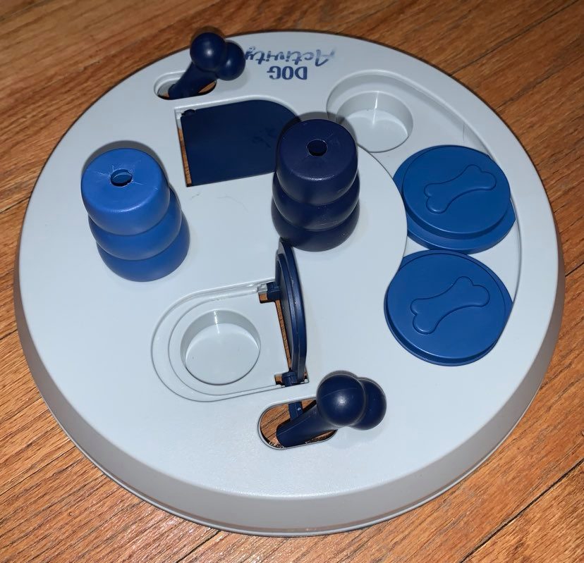 Ev İçi Zenginleştirme Haberleri: 10 Dakikalık Puzzle Seansları